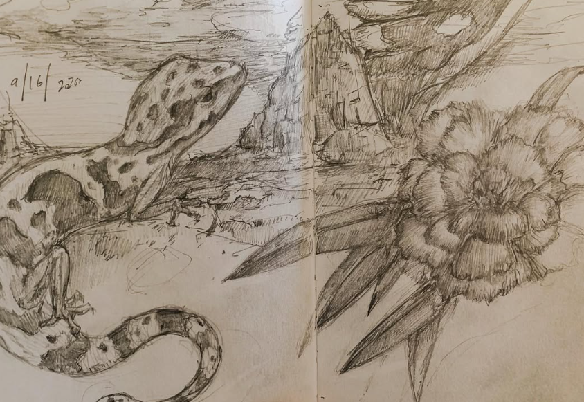 Mexican Sketches